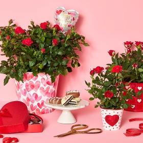 Header navigation sub menu