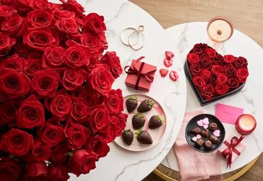 Header navigation sub menu